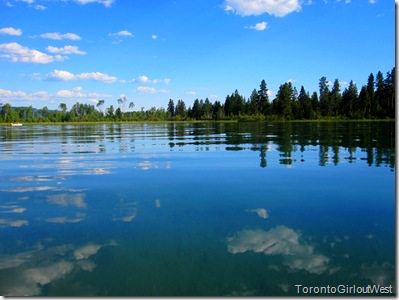 reflection