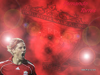 fernando torres