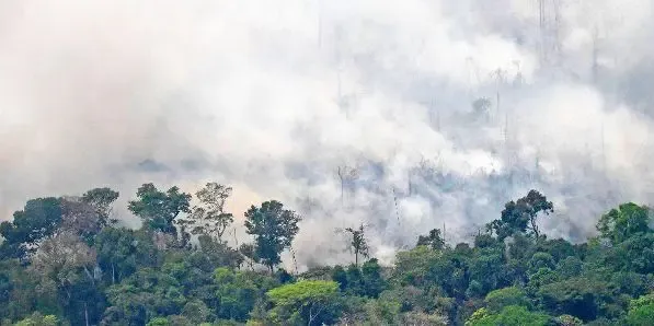 Los incendios en la Amazonía dejarán consecuencias difíciles de dimensionar