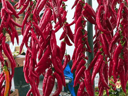 Harga Cabe Merah Besar 1 Kg di Berbagai Daerah dan Manfaatnya untuk Kesehatan