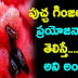 Water Melon Seeds health Benefits