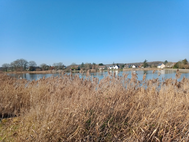 Etang du Louroux, Indre et Loire, France. Photo by Loire Valley Time Travel.