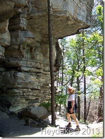 Pilot Mt State Park 028