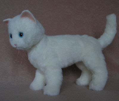 White cat