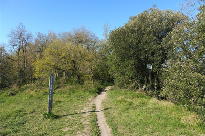 Cordal del alto de San Kiliz