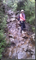IMAG0522 (Small)