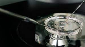 In-vitro Fertilization Devices