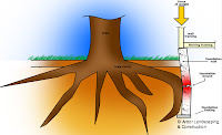 Barrier Root Tree