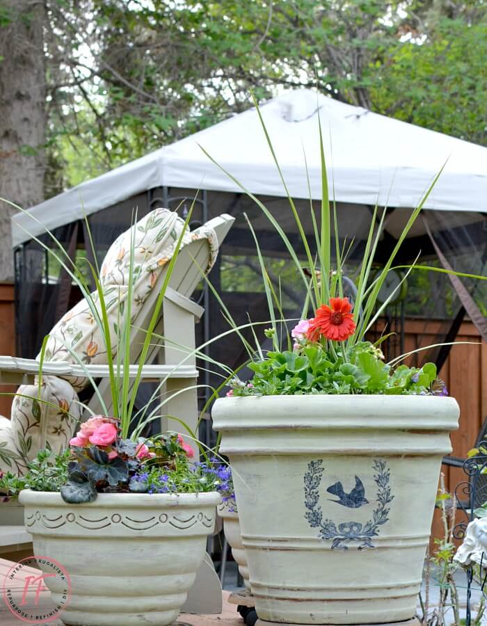 How to transform large terracotta flower pots with lovely weathered French Country style with a wash of Versailles chalk paint and French graphics.