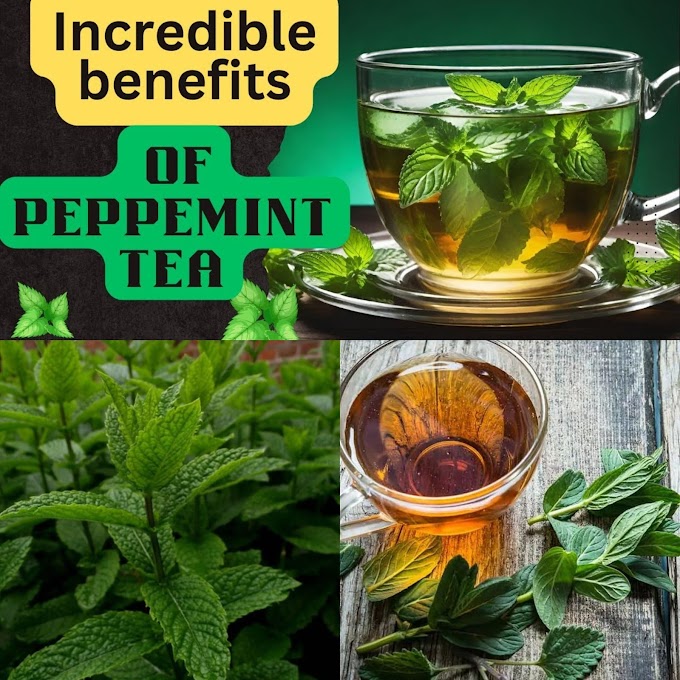 Peppermint Tea: Unveiling the Magic in Your Cup