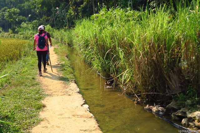 Hike From Ban Hieu village to Kho Muong in Pu Luong Nature Reserve