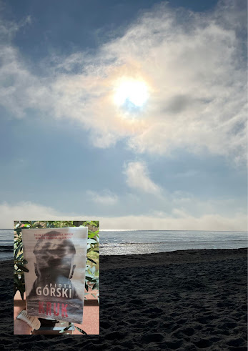 Na zdjęciu została uchwycona plaża, morze i słońce. W lewym dolnym rogu zostało wklejone zdjęcie prezentujące książkę Piotra Górskiego pod tytułem Kruk.