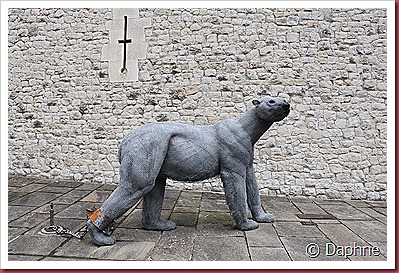 IMG_7470