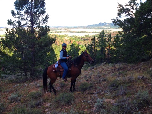 WY 2012 305