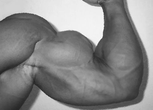One of the most sought after physiques are big impressive arms 