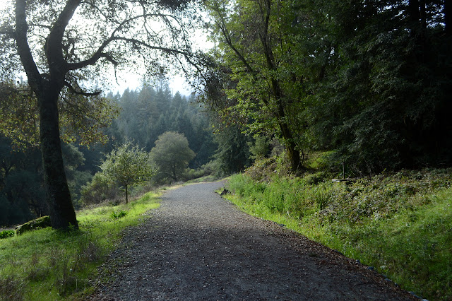 meadow area with the well