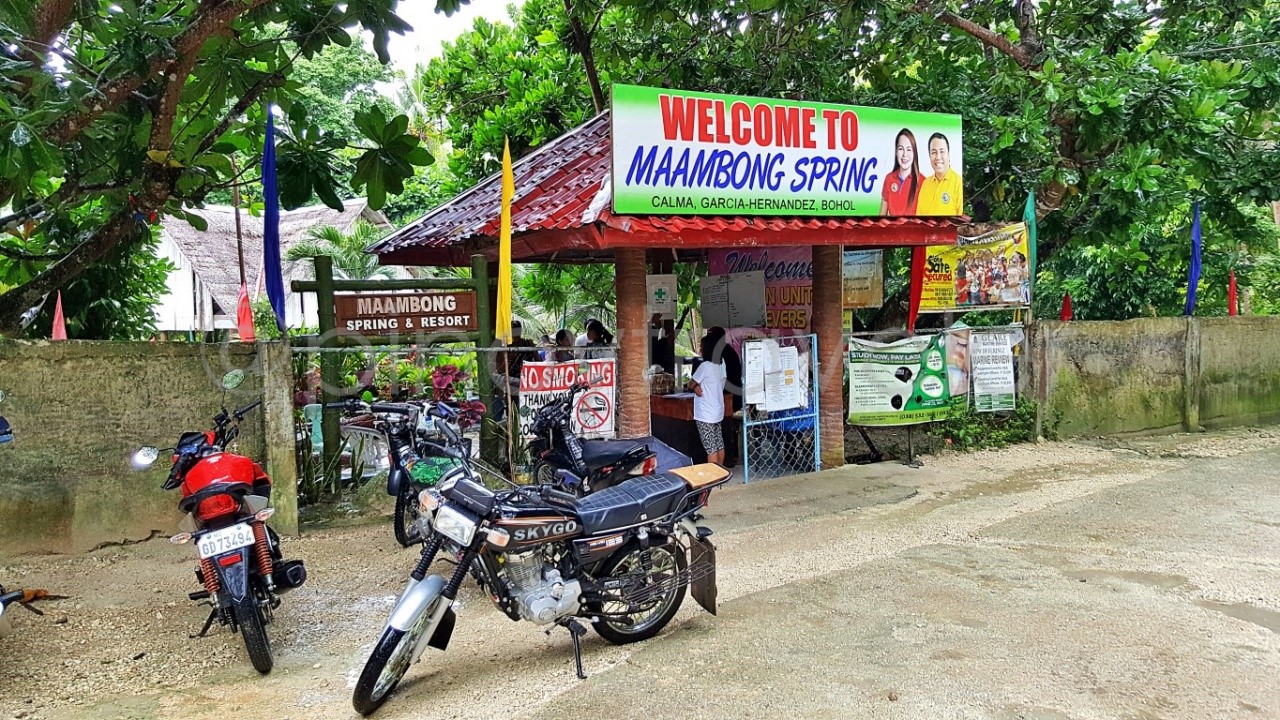 Maambong Spring Resort of Garcia-Hernandez, Bohol