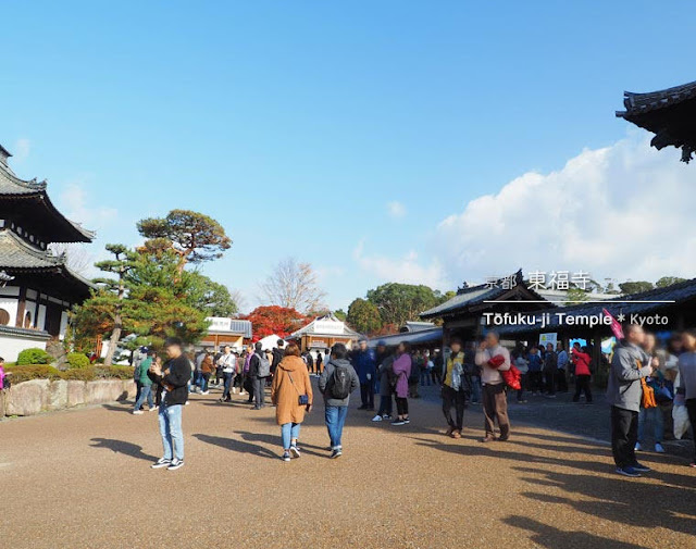 京都 東福寺の紅葉