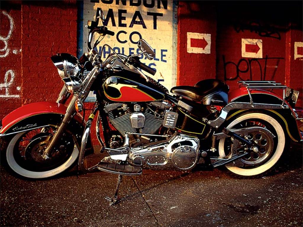 motorcycles: Harley