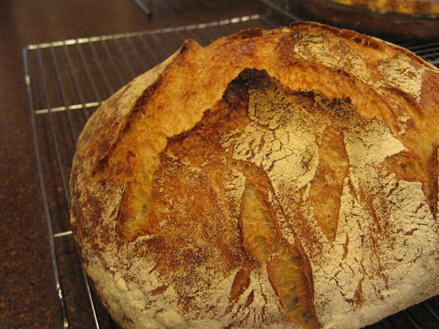 Rustic Italian Bread