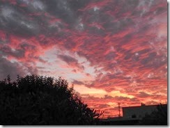DSCN2849