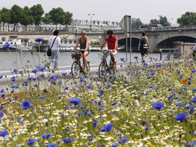 Nova passarela de pedestres em Paris, na margem esquerda do Rio Sena (Foto: Charles Platiau/Reuters)