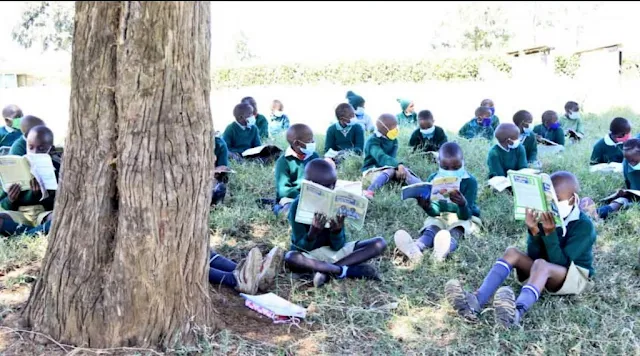 Mweiga Primary School in Nyeri