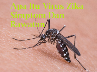 Apakah virus zika