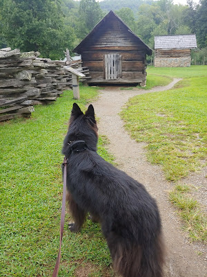 Great Smoky Mountains