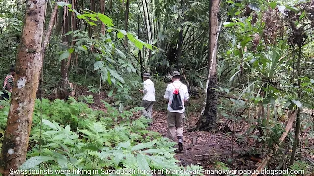 Swiss tourists were hiking in Susnguakti forest of Arfak mountains