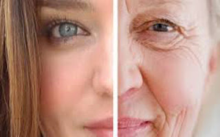 Anti Aging Health Tips