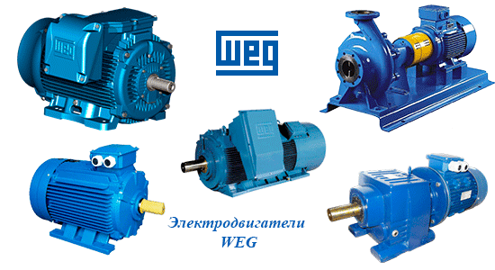 электродвигатель w22