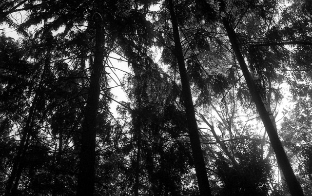 img181c img181c