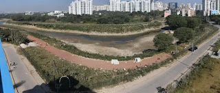 SEEDS restores the lake in Gurugram through nature-based solutions