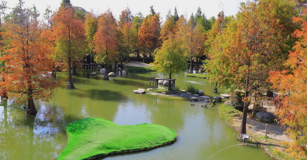 澄霖沉香味道森林館日式禪風造景，落羽松景觀生態池，雲林兼六園