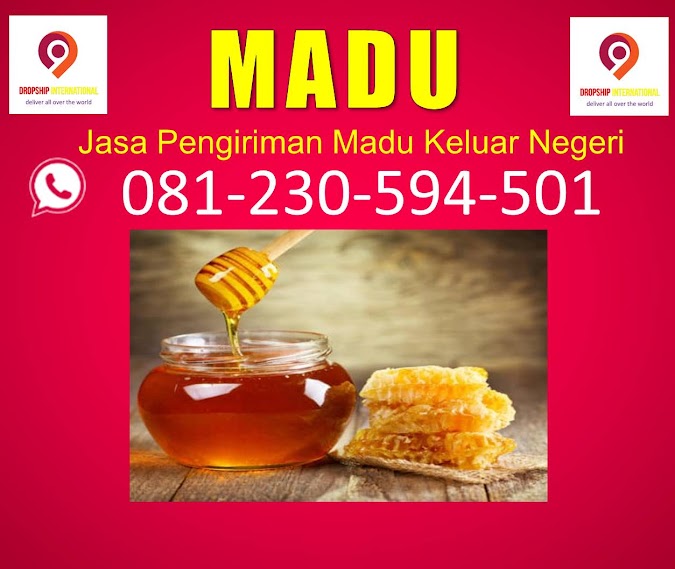 0812-3059-4501 MURAH, kirim paket ke luar negeri paling tepat di Binangun BLITAR