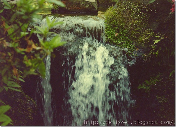 image0223