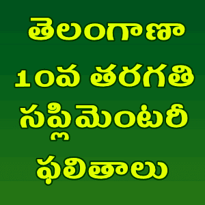 TG/telangana state SSC supplementary results 2019
