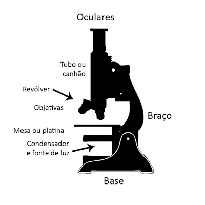Componentes do microscópio óptico