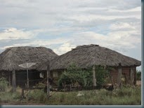 Maloca (3)