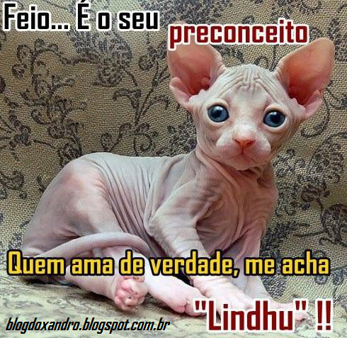 lindhu.png (490×477)