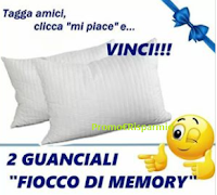 Logo Tagga, clicca e vinci gratis 2 guanciali Fiocco di Memory