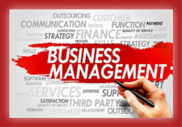 The Best Latest Online Business Management Course | For Your Success