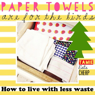 Live Cheap :: Don't Buy Paper Towels