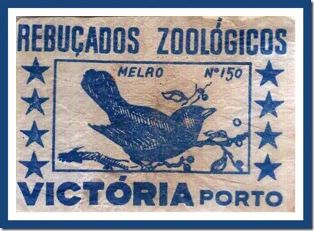 rebucados zoologicos santa nostalgia