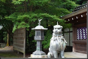 DSC05180