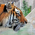 Milwaukee County Zoo FREE Family Day at the Zoo Saturday, December 2