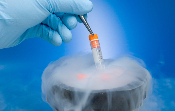 Embrión congelado