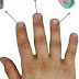 Το ξέρατε αυτό;Κάθε δάχτυλο του χεριού συνδέεται με 2 όργανά!