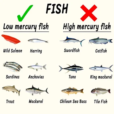 ikan dengan merkuri makanan untuk ibu mengandung
